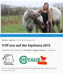 Fuehrpferd- und Chevalie-Gewinnspiel EQUITANA 2015