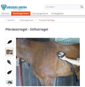 Wessel-Werk Pferdestriegel Staubsaugeraufsatz