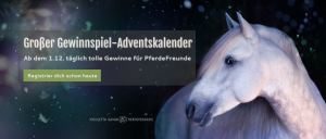 Gewinnspiel-Adventskalender PferdeTermine