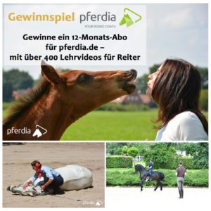 Jahresabo pferdia.de bei RidersDeal zu gewinnen