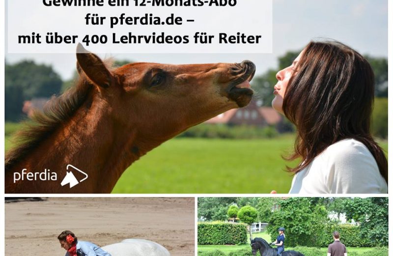 Jahresabo pferdia.de bei RidersDeal zu gewinnen