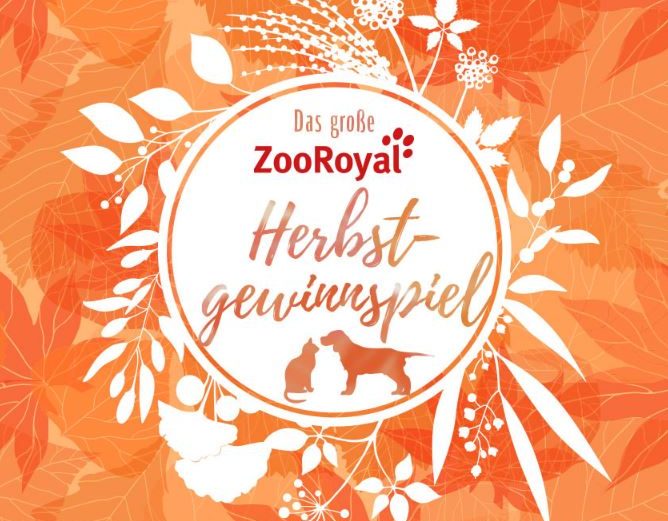 ZooRoyal Herbstgewinnspiel