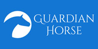 Guardian Horse