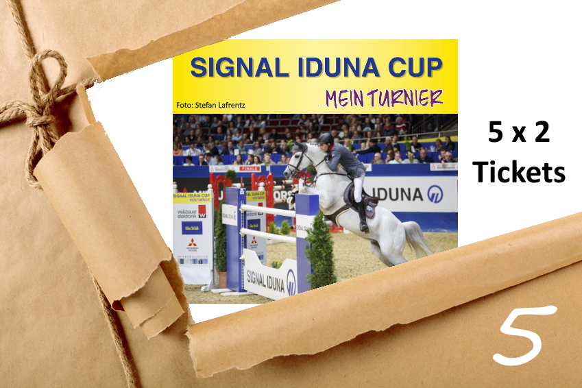 Adventskalender 5/2019 Tickets Signal Iduna Cup