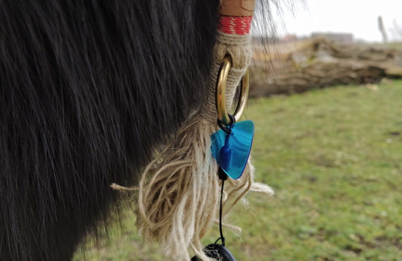 Guardian Horse an Pony befestigt - Produkttest Johanna Maria und Chito