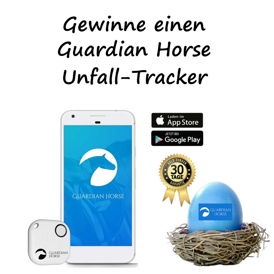 Oster-Gewinnspiel 2020 - Guardian Horse Unfall-Tracker