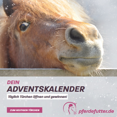 pferdefutter.de Adventskalender