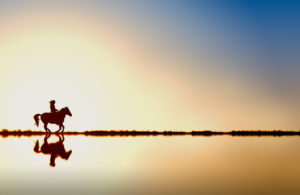 Slider Reiter mit Pferd galoppiert am Wasser