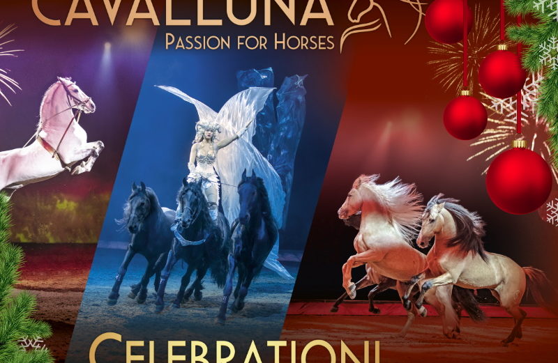 CAVALLUNA CELEBRATION! Advents-Gewinnspiel