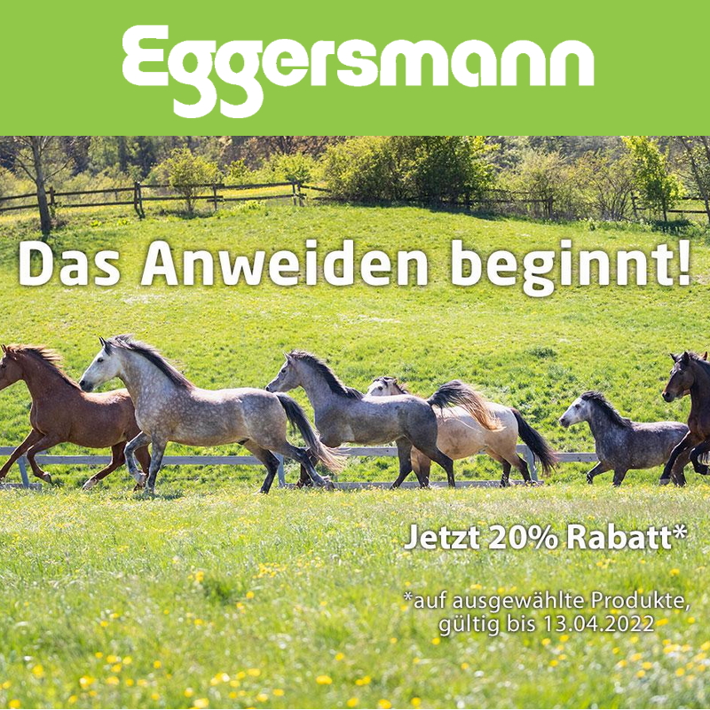 Eggersmann Gutscheincode Anweiden