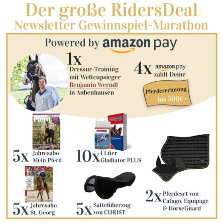 RidersDeal: amazon pay zahlt deine Pferderechnung – Gewinnspiel-Marathon