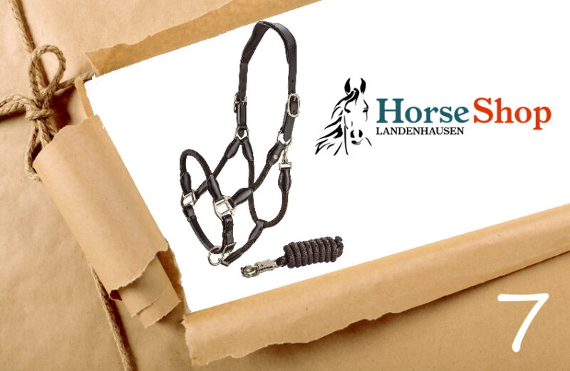HorseShop Sunride Lederhalfter Denver inkl. Strick in braun - Adventskalender Türchen Nr. 7, 2022