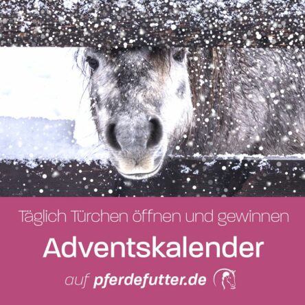 Adventskalender Gewinnspiel von pferdefutter.de